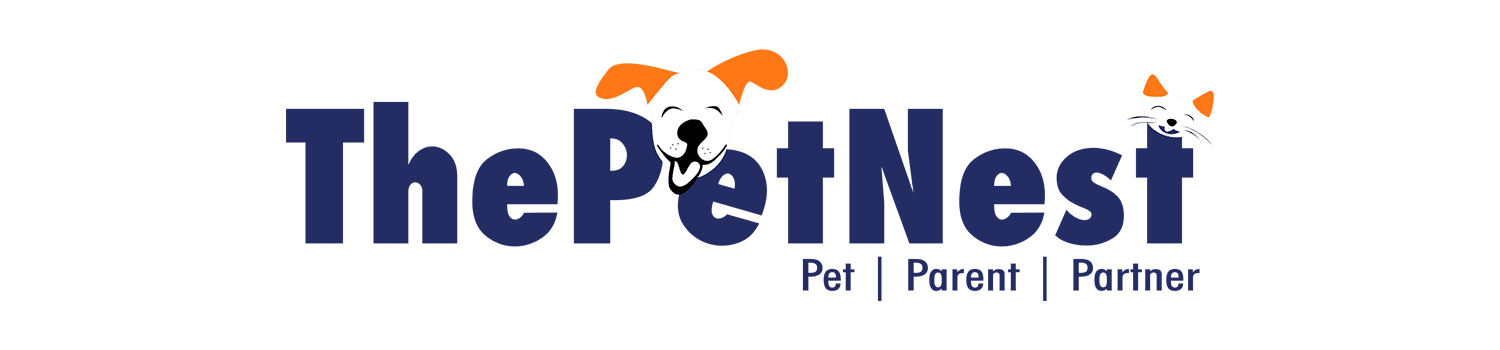 Placement Partner